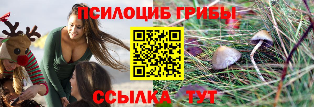 Псилоцибиновые грибы прущие грибы Барабинск